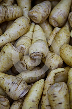 Close-up Arracacha Arracacia xanthorrhiza or little maniocin food market photo