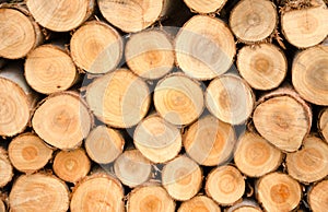 Close-up Arrange Orderliness of the timber photo