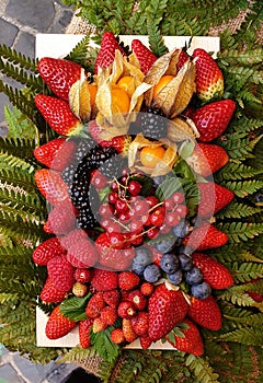 Close-up of an arrangement of mixed berries