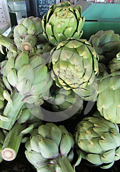 Close up of artichokes on market stand. California, USA