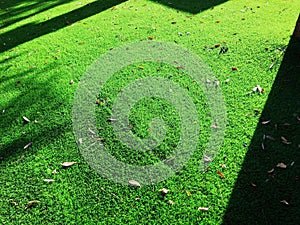 Close up of the artificial grass turf background