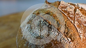 Close-up of artisan sourdough bread