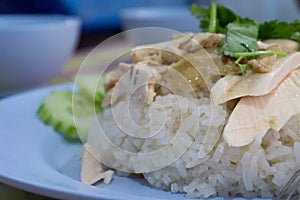 Close-up Asian Chinese food style Steam Chicken with Rice and sa