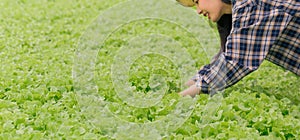 Close up Asian farmer woman checking quality of hydroponic vegetable greenhouse