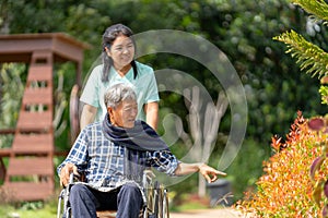 Close up Asian nurse cart of shove senior man sit on wheelchair to walk along the walkway in the garden and they look happiness