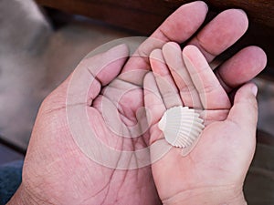 Close up Asian parent hand holding baby fingers, Love family concept