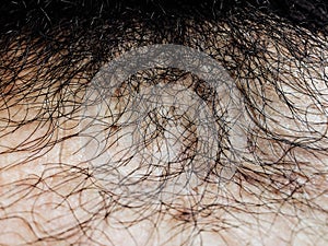 Close up Asian pubic hair yellow skin tone