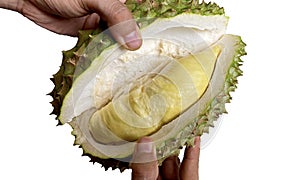 Close up Asian women hand holding durian fruit. Ripe durian. Tasty durian that has been, durian is the king of fruits. Is a famous