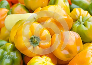 Close up on assorted bell peppers in various colors