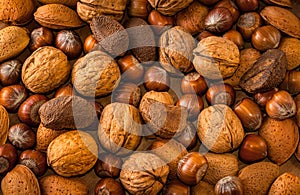 Close up of assortment nuts on a wooden table: wallnuts, almonds