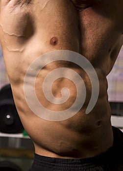 Close-up of an athletic body