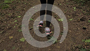 Close up of athletic female legs running at forest road