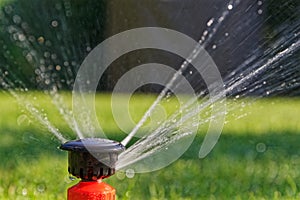 Close-up of automatic lawn sprinkler head while irrigation in a garden