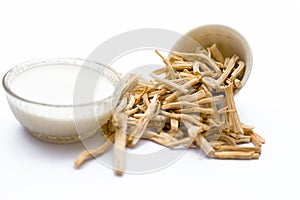 Close up of Ayurvedic herb Satavari or kurilo or Asparagus racemosus isolated on white in a glass bowl with milk.