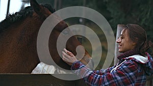 close up b-roll tender pretty woman stroking a horse through wooden fence on woods background.