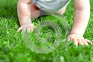 Close-up baby crowling through green grass lawn. Details infant hand walking in park . Child discovering and exploring
