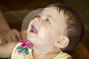 Close-up of baby drinking water