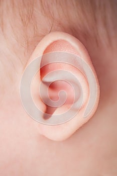 Close up of baby ear