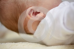 Close up of baby ear