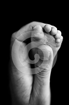Close up baby feet in mother hands on black background. Prevention of flat feet
