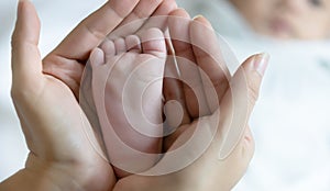 Close-up Baby feet in mother hands.Happy Family concept. Beautiful conceptual image of Maternity