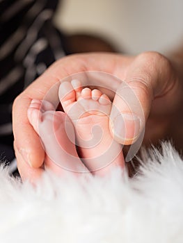 Close up of baby feet photo