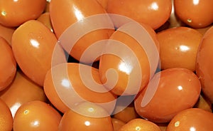 Close Up of Baby Plum Red Tomatos