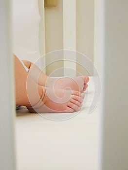 Close-up of baby`s feet inside the cradle copia photo