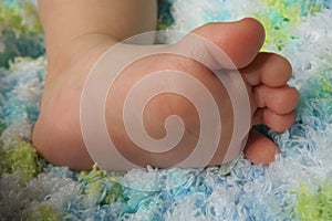 Close-up of Baby`s Foot on a Blue and Green Blanket