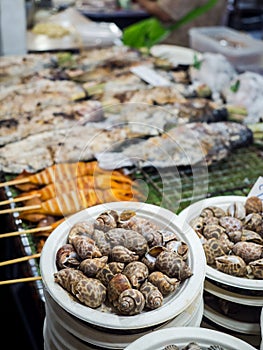 Close-up babylonia snail in paper dish and blured fishes, squids, seafood