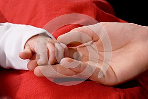 Close-up of babys hand holding hand