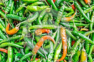 Close up background of cayenne peppers in green and some red, being sold in a farmer`s market.