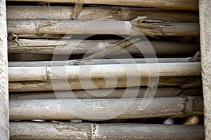 Close up background of dry thick bamboo poles