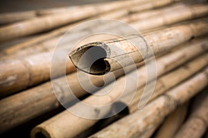 Close up background of dry thick bamboo poles