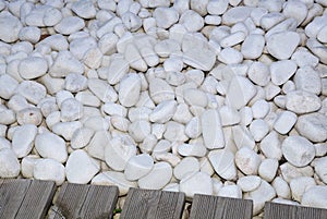 Close-up of a background of small white pebbles of a mineral mulch