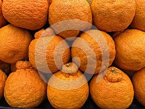 Close up background of sumo citrus oranges