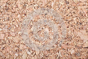 Close Up Background and Texture of Cork Board Wood Surface