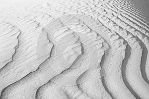Close up of background texture of desert sand dunes. Beautiful structures of sandy dunes on sunny summer day. Annual growth of are