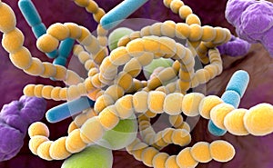 Halitosis Bacteria photo