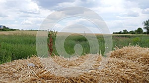 Close-Up of Bale Hay