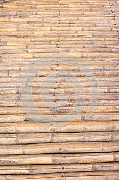 Bamboo walk way ,natural patterns background