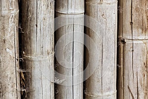 Close up of bamboo wood background texture. Selective focus