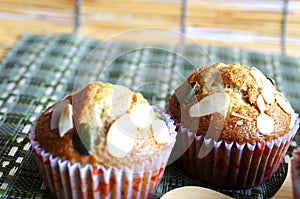 Close up of Banana cup cake bakery for still life food backgrounds