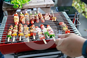 Close up barbecue grill with various kinds of meat