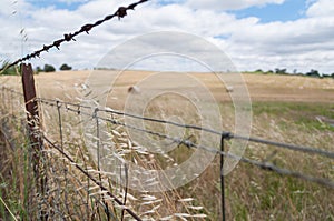 Close up of barbed wire fence with farm field on the background