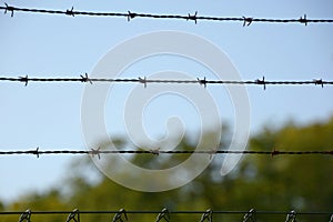 Close-up of barbed wire fence, security barbed wire