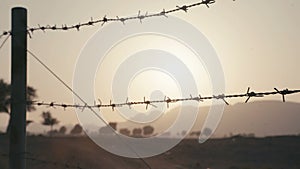 Close-up of barbed wire and trees silhouettes.