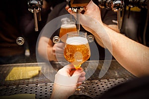 Close-up of barman hand at beer tap pouring draught craft beer