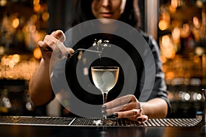 Close-up of bartender adding small branch in cocktail