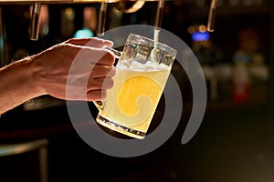 Close up bartender hand pouring lager beer.